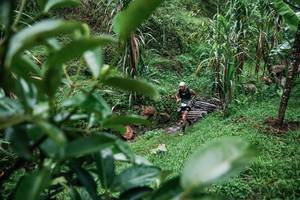 BIB: 
                            <button type="button" onclick="openModal(26200108)" class="btn btn-primary btn-sm float-right btn-popup" data-toggle="modal" data-target=".modal-high-quality">
                        <i class="fas fa-shopping-cart"></i> Add to Cart
                    </button>
                                            <button type="button" onclick="isThisMe(26200108, true)" class="btn btn-success btn-sm float-right btn-popup btn-isme hidden" data-toggle="tooltip" data-placement="bottom" title="นี่คือรูปของคุณใช่ไหม คลิกที่นี่เพื่อเอาเข้าอัลบั้ม">
                        <i class="fas fa-plus"></i> Add to album
                    </button>
                    <button type="button" onclick="isThisMe(26200108, false)" class="btn btn-warning btn-sm float-right btn-popup btn-isnotme hidden">
                        <i class="fas fa-ban"></i> Remove from album
                    </button>